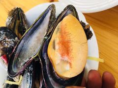 -胖大嫂渔家排档·全海景餐厅(渔村店)