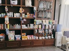 -宠爱国际动物医院· 猫科· 外科·中兽医(长白店)