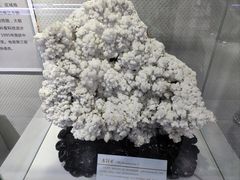 -中国第四纪冰川遗迹陈列馆