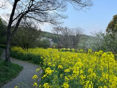 -苏州上方山国家森林公园