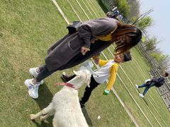 -前小桔亲子创意农场·草莓采摘·露营烧烤