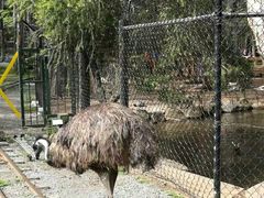 -可伦宾野生动物保护区