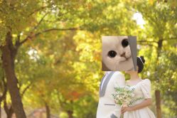 -保定巴黎婚纱摄影