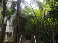 -燕晗山郊野公园