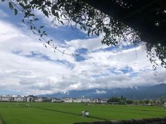 -喜林苑·稻田餐厅(品相府店)