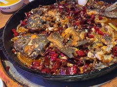 -老板恋上鱼(恒隆广场店)