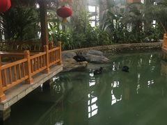 景点-南宫五洲植物乐园