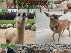 -北京野生动物园