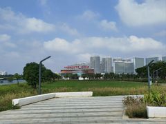 -北海金海湾红树林生态旅游区