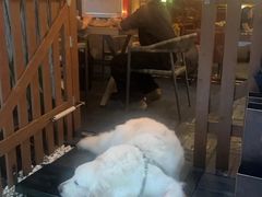 -咖法森林·咖啡  酒吧(天河店)