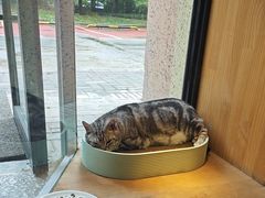 -有才叔的小馆(招商依云曲江店)