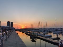 -东港音乐喷泉广场