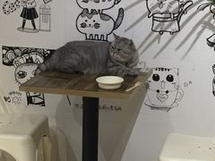 -小时光咖啡馆(开森度假森林店)