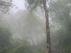 -洛阳白云山景区