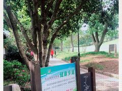 -雨花胜境