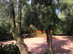 -北海金海湾红树林生态旅游区