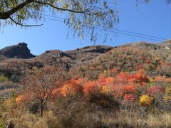 -云岫谷游猎自然风景区