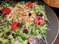 -机器人火炉披萨