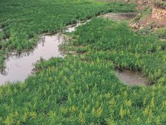 -麓湖高尔夫球俱乐部