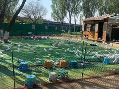 -长白岛森林公园