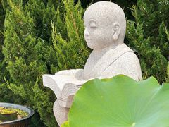 -正觉寺