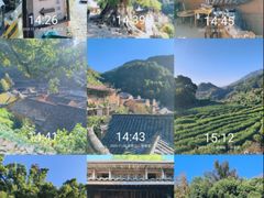-杨家堂村