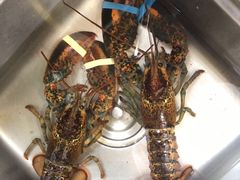 波士顿龙虾-盒马鲜生(皇庭广场店)