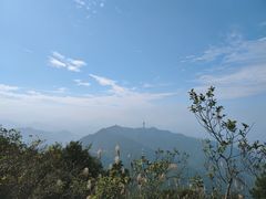 -梧桐山风景名胜区