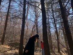 -白草畔自然风景区