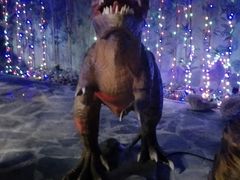 -多彩贵州城极地海洋世界