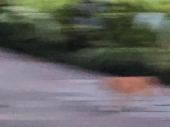 -晓港公园