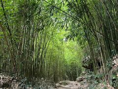 -井空里大峡谷