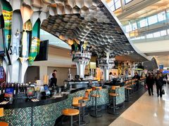 -纽瓦克自由国际机场