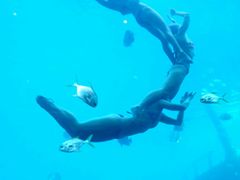 -瑞德姆美人鱼海底演艺主题餐厅(亚龙湾店)