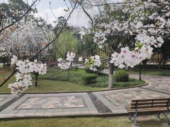 -西南政法大学(渝北校区)