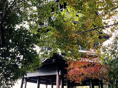 -杭州半山国家森林公园