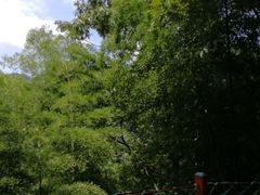 -浙北大厦购物中心(安吉店)