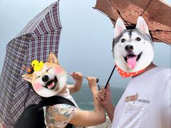 -广东惠东海龟国家级自然保护区