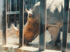 -石家庄市动物园