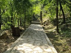 -金龙寺国家森林公园