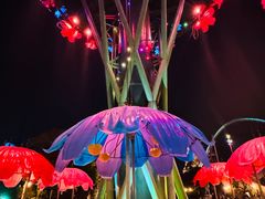-珠海长隆海洋王国