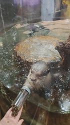 -Zoolung Zoolung动物主题公园(海信广场店)