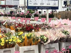 -山姆会员商店(上海浦东店)