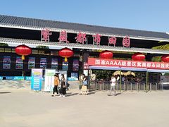 -武汉紫薇都市田园