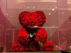 -ROSEONLY诺誓(青岛万象城店)