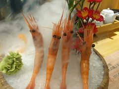 -鲔屋寿喜烧