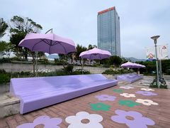 -光明港公园
