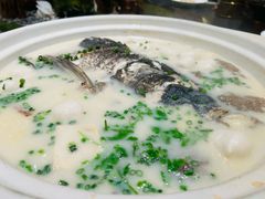 -绿杨春·淮扬宴(庐山路店)
