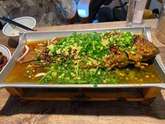 香辣炝锅鱼-树厨贵州菜(大十字店)