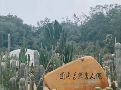 -深圳仙湖植物园